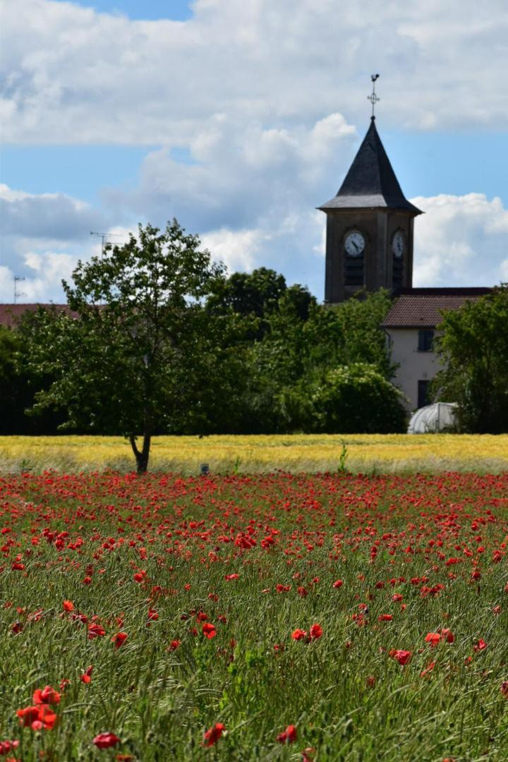 LachausseeBergerie Franciqueアパートメント エクステリア 写真